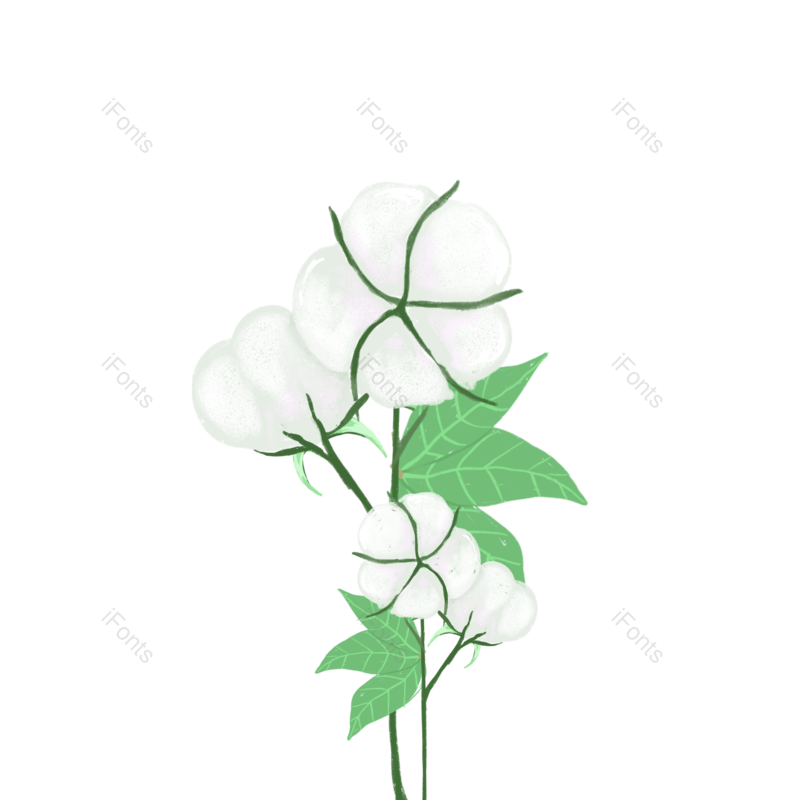 花朵图片,植物元素,PNG,免抠素材
